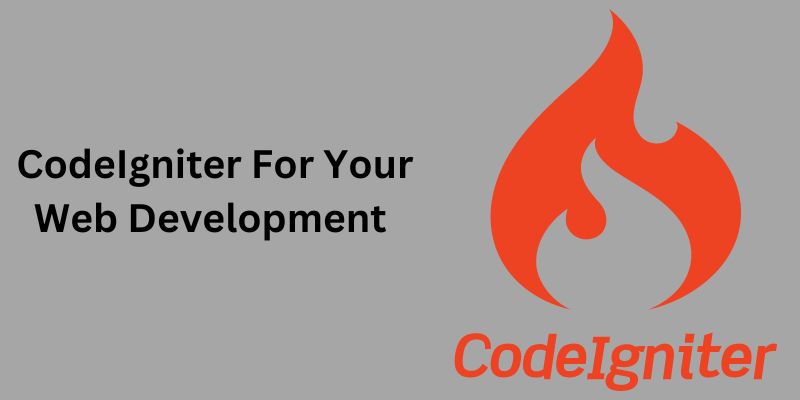 Reasons To Choose Codeigniter For Your Web Development Project In 2024 Article Terrain 9378